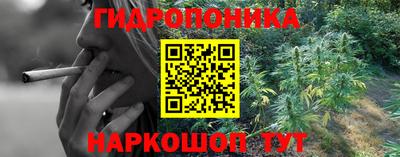 индика Жуковский