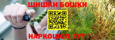 индика Жуковский