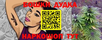 индика Жуковский