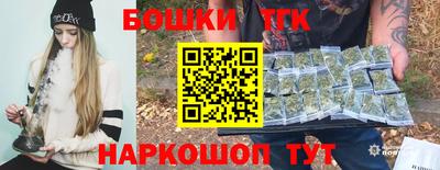 индика Жуковский