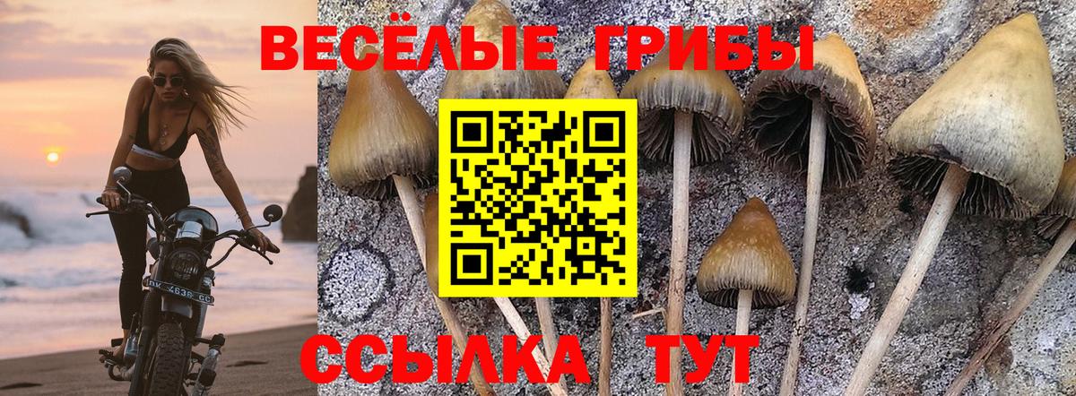 Галлюциногенные грибы ЛСД Хабаровск