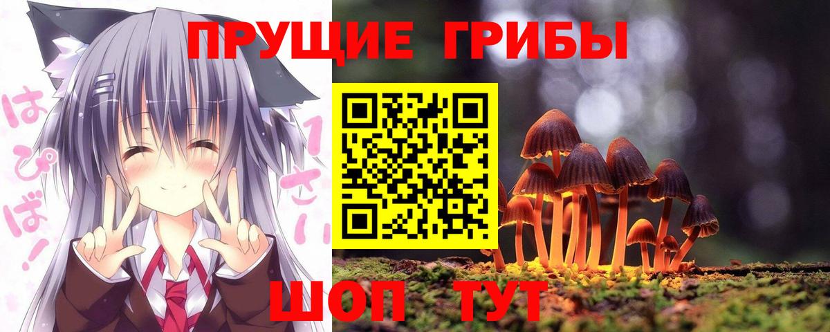 Галлюциногенные грибы мицелий  Вход с VPN  Хабаровск 
